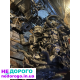 Двигун Mazda CX9, 2018, 2.5 л, бензин. Mazda CX5, 2019, 2.0 л, дизель. Mazda 3, 2017, 1.5 л, бензин. Mazda 6 turbo, 2020, 2.5 л, бензин.