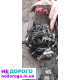 Двигун Mazda 3 BK 1.6 дизель 2006 р.в.