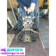 Двигун Chevrolet Captiva 2.4 2010 2.4 бензин.