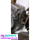 Двигун 2,4 Multiair для Jeep Cherokee KL 2014, об'єм 2,4 л, бензин.
