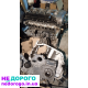 Двигун D4D, Lexus/Toyota, розібраний, 2008, 2.0 л, дизель.