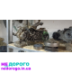 Двигун Honda AF18E, 1996 рік, 1.8 л, бензин.