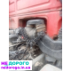 Продам двигун мотор ATi 400 euro 2 або цілого дафа під розборку, Daf