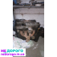 Двигун Opel Tigra, Z14XEP, 2004, 1.4 л, бензин.