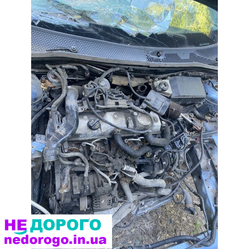 Двигун Ford Focus, 1.6 л, бензин, 2015 р.в.