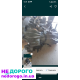 Коробка Мазда 6 gg 2.0 бензин 5 ступка 2007 2.0 л.