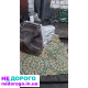 Продам коробку Нива Шевроле
