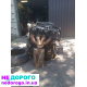 Продам мотор C18NZ
