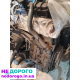 Мотор Citroën Jumpy 1.9, 2005, 1.9 л, дизель. Топливний насос для Citroën Jumpy 1.9, 2005, дизель.