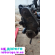 Продам мотор для ЛТ до 96года