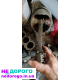 Мотор KIA Joice, 2000 р.в., 2.0 л, бензин.
