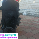 Продам мотор на Фольксваген Caddy 1.9TDI. Дизель.
