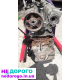 Продам мотор RB20DE