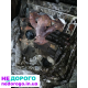Продам мотор Рено 1.4 в хорошому стані
