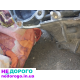 Продам мотор від Reno Trafik 1.9
