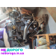 Дизельний двигун Nissan Qashqai 2+ 1,5 к.с. K9K, 2015 р.в., об'єм 1,5 л, паливо - дизель.