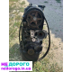 Двигун Honda Civic 1.4 2000р. 1.4 л, бензин.