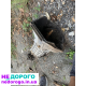 Коробки 4-ох ступки: двигун 1.6 л, рік 2015, модель Golf, українська мова, в хорошому стані.