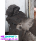 МКПП на Митсубиши 4 Лансер, ідеальний стан, диференціал, українська мерчант гугл: Назва - МКПП, модель - 4 Лансер, рік - ?, об'єм двигуна - ?.