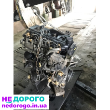 Мотор 2.5 дизель Nissan Navara D40 2007, об'єм двигуна 2.5 л, паливо - дизель.
