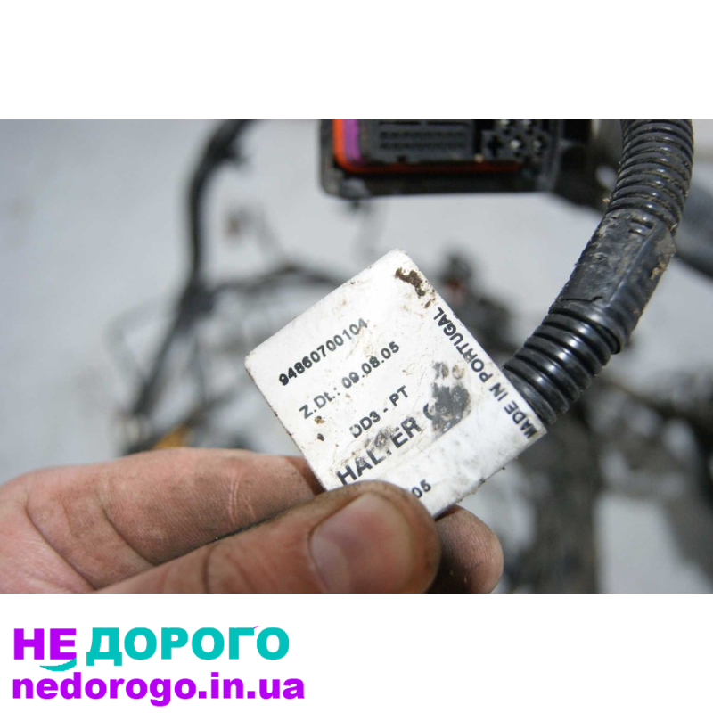 Проводка двигуна Porsche Cayenne 955 2003-2010: Назва - Cayenne, модель - 955, рік - 2003-2010, об'єм двигуна - різні, паливо - бензин.