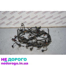 Проводка двигуна Porsche Cayenne 955 2003-2010: Назва - Cayenne, модель - 955, рік - 2003-2010, об'єм двигуна - різні, паливо - бензин.