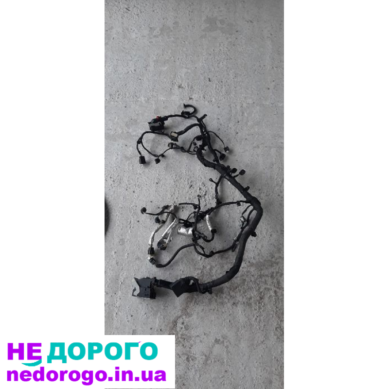 Проводка двигуна Ford Edge 2.0, 2018, 2.0 л, бензин.
