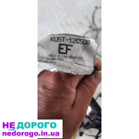 Проводка двигуна Ford Edge 2.0, 2018, 2.0 л, бензин.