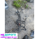 Проводка двигуна Ford Escape GV6T12A690, бензин, 2012 рік, 3.0 л.
