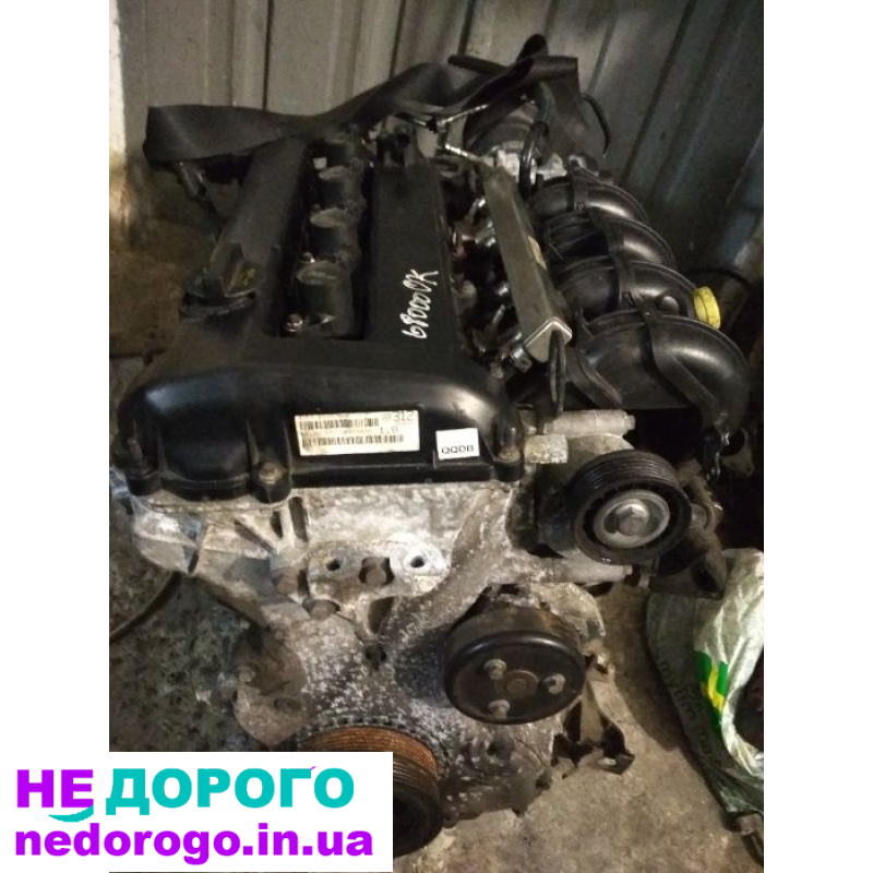 Двигун QQDB для Ford 1.8 i Focus C-Max Mondeo, 2004 рік, 1.8 л, бензиновий.