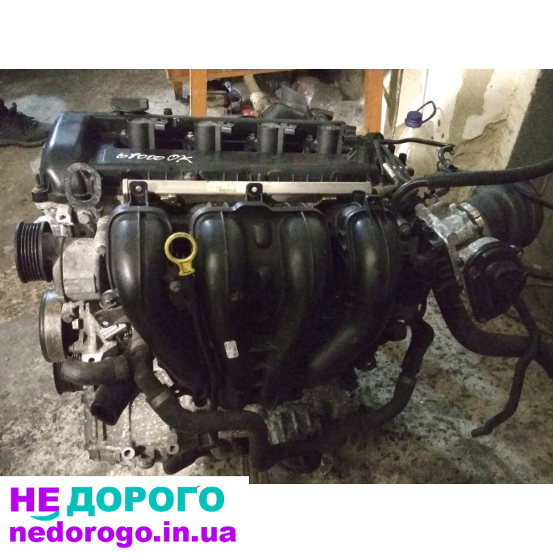 Двигун QQDB для Ford 1.8 i Focus C-Max Mondeo, 2004 рік, 1.8 л, бензиновий.