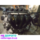 Двигун QQDB для Ford 1.8 i Focus C-Max Mondeo, 2004 рік, 1.8 л, бензиновий.
