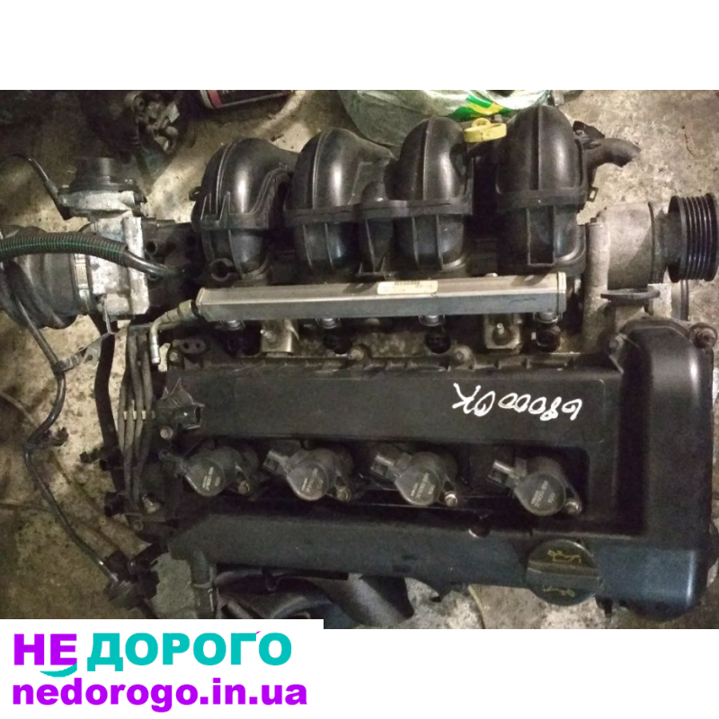Двигун QQDB для Ford 1.8 i Focus C-Max Mondeo, 2004 рік, 1.8 л, бензиновий.