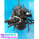 Разборка Seat Leon 1.6 BCB Двигатель AZD Мотор Toledo AUS Двигун Golf4