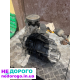 Коробка 2.0 Land Rover Freelander, 2005, 2.0 л, бензин.