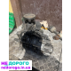Коробка 2.0 Land Rover Freelander, 2005, 2.0 л, бензин.