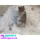 Двигун G25T, Mazda CX-9, 2021, 2.5 л, бензин.