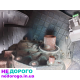 Редуктор Santa Fe CM T/F 070601441 06-10 2.2 CRDi - агрегат для Hyundai Santa Fe, випущений у 2006-2010 роках, з двигуном об'ємом 2.2 л на дизельному паливі.