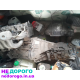 Двигун Mercedes 2.2, OM651, 2015, дизель.