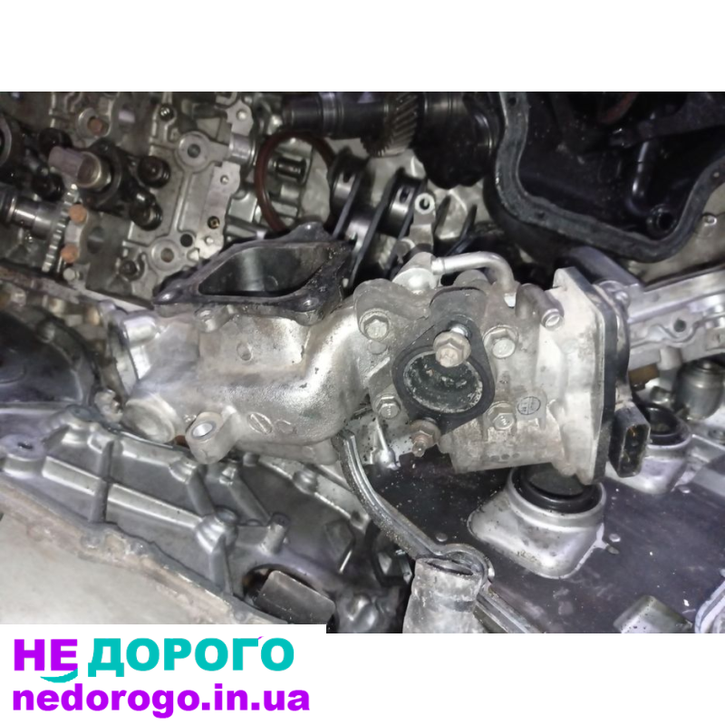 Мотор Subaru EE20Z 2.0 дизель, 2015 рік, об'єм двигуна 2.0 літра, паливо - дизель.