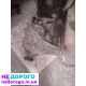Двигун SD33T, Nissan Patrol Y60, 1987, 2,8 л, дизель.