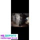 Шевроле тракс Опель Мокка. АКПП коробка передач автомат 1.4 л 850$.
