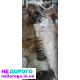 Стойка передня Ланос 99, 1.5 л, бензин.