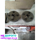 Ванос BMW N51B30: відбірний, 2010, 3.0 л, бензин. Ванос BMW N52B30: подвійний, 2008, 3.0 л, бензин.