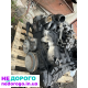 Двигун Volkswagen LT 35 2.8, 2005, дизель, об'єм 2.8 л.