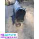 Мотор Двигун AJZ 2.0 VW Golf 4, Bora, Skoda Octavia, 2000 рік, бензин.