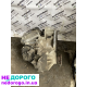 Акпп DQ-200 DSG-7 Skoda Volkswagen Seat Audi 1.6 cay tdi gsd7 dq200