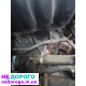 Двигатель мотор кпп приора 2170