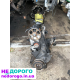 Двигун Audi 80 100 A6 B4 C4 2.0 ABТ Моноінжектор 90 л.с. 1991 2.0 бензин.