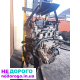Двигун Nissan Navara 2,5 YD25D40YD22, 2005, 2,5 л дизель.